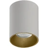Lubinis šviestuvas Paviršinis lubų šviestuvas SOUL, GU10, aukso/baltos sp., P37920BOS