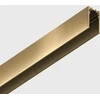 Paviršinis magnetinės sistemos IN_LINE bėgelis, 48V, žalvario sp., 2m, 4x