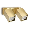 Lubinis šviestuvas Paviršinis šviestuvas DYNAMITE, 2xGU10, žalvario sp., 371245