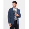 Pilkas elegantiškas vyriškas languotas švarkas su vilna