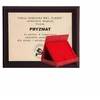 Plastikinis diplomas su graviravimu ant laminato + dėklas 250x200 mm