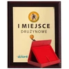 Kelioninis Plastikinis diplomas su spalvoto laminato elementais + dėklas 355x300 mm