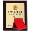 Plastikinis diplomas su spalvoto laminato elementais + dėklas 355x300 mm