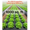 Polietileno plėvelė VEVOR YF10FT100FTB4MIL, 3,05 x 30,48 m, 0,1 mm