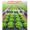 Polietileno plėvelė VEVOR YF6FT100FTB4MIL, 1,83 x 30,48 m