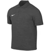 Polo marškinėliai Nike Dri-FIT Park 26 IB1193-071