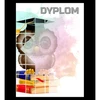 Popierinis diplomas - pelėda (25 vnt.) DYP157
