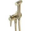 Potinkinis bidė dušelio komplektas Deante Temisto BQT_M34M, Brass