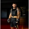 ProFighter Gold - Tradicinė serija - Daugiasluoksnės bokso pirštinės