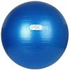 PROfit 85cm mėlynas sporto kamuolys su pompa DK2102