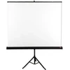 Projekcinis ekranas su AVTEK Tripod Standard 175 stovu (išskleidžiamas rankiniu būdu; 175 x 175 cm; 1:1; 97 colių)