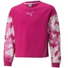 Puma Alpha Crew TR Jr džemperis 846941 14