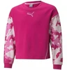 Puma Alpha Crew TR Jr džemperis 846941 14