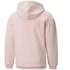 Puma Alpha Hoodie FL Jr. džemperis 589232 36