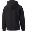 Puma Alpha Hoodie FL Jr džemperis 589232 01