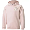Puma Alpha Hoodie FL Jr. džemperis 589232 36