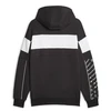 Puma BMW MMS 621866 01 bliuzonas