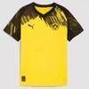 Puma Borussia Dortmund Jaunimo replikos marškinėliai 780094-01