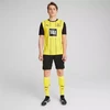 Puma Borussia Dortmund namų "Replica" marškinėliai, dydis M, 774946 01