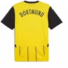 Puma Borussia Dortmund namų "Replica" marškinėliai, dydis M, 774946 01
