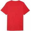 Puma Class Graphic Tee vyriški marškinėliai raudoni 692226 11