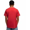 Puma Class Graphic Tee vyriški marškinėliai raudoni 692226 11