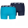 Puma Elements Basic 2P Boxer Shorts M 938753 08