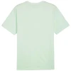 Puma ESS+ 2 Col Logo Tee M 586759 88