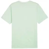 Puma ESS+ 2 Col Logo Tee M 586759 88