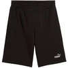 Puma Ess 2 Color No. 1 Logo šortai M 684715 01
