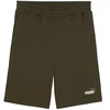 Puma Ess 2 Color No. 1 Logo šortai M 684715 70