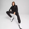 Puma Ess 2 Color Small No.1 Logo Hoodie TR M 684719 51
