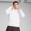 Puma Ess 2 Color Small No.1 Logo Hoodie TR M 684719 02