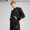 Puma Ess 2 Color Small No.1 Logo Hoodie TR M 684719 51