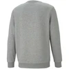 Puma ESS Big Logo Crew FL M džemperis 586678 03