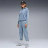 Puma ESS Comfort Wash sportinės kelnės W 688104 34