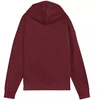 Puma ESS Elevated Džemperis su gobtuvu Relaxed Wash W 688103 96