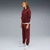 Puma ESS Elevated Džemperis su gobtuvu Relaxed Wash W 688103 96