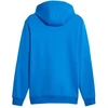 Puma ESS+ Hoodie su juostele FL M 849040 47