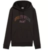 Puma Ess+ Logo LAB flisinis džemperis su gobtuvu moterims 682987 01