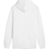 Puma Ess+ Logo LAB Gradientinis džemperis su gobtuvu FL M 681775 02