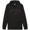 Puma Ess+ Logo LAB Gradientinis džemperis su gobtuvu FL M 681775 01
