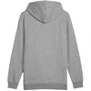 Puma Ess+ Logo LAB Gradientinis džemperis su gobtuvu FL M 681775 03