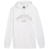 Puma Ess+ Logo LAB Gradientinis džemperis su gobtuvu FL M 681775 02