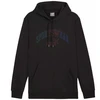 Puma Ess+ Logo LAB Gradientinis džemperis su gobtuvu FL M 681775 01
