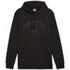 Puma Ess+ Logo LAB Gradientinis džemperis su gobtuvu FL M 681775 01