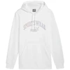 Puma Ess+ Logo LAB Gradientinis džemperis su gobtuvu FL M 681775 02