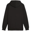 Puma Ess+ Logo LAB Gradientinis džemperis su gobtuvu FL M 681775 01