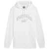 Puma Ess+ Logo LAB Gradientinis džemperis su gobtuvu FL M 681775 02