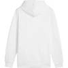 Puma Ess+ Logo LAB Gradientinis džemperis su gobtuvu FL M 681775 02